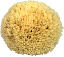 Load image into Gallery viewer, Mediterranean Natural Sea Sponge
