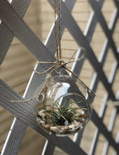 Load image into Gallery viewer, Glass Terrarium - Globe Hanging Bowl - Glass planter
