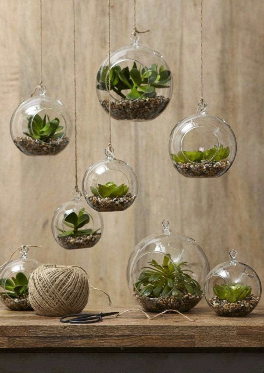 Glass Terrarium - Globe Hanging Bowl - Glass planter