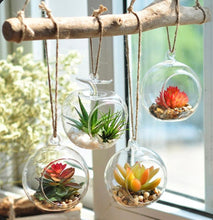 Load image into Gallery viewer, Glass Terrarium - Globe Hanging Bowl - Glass planter
