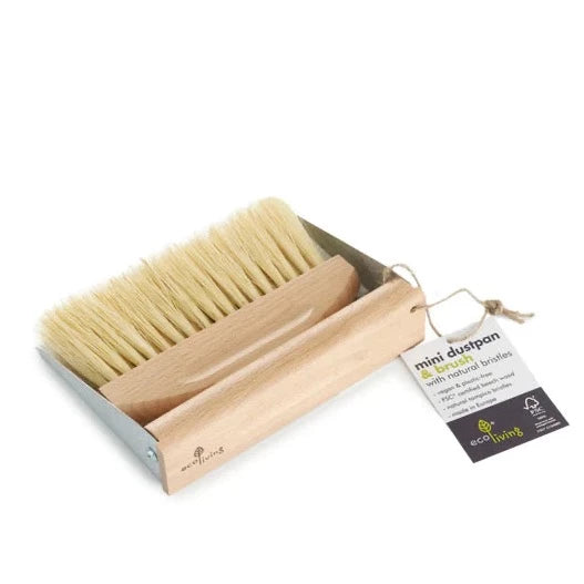 Mini Dust Pan & Brush Set With Magnet